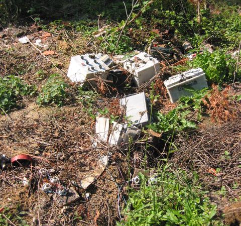 Action de l'aavre pour que cesse à Milon la Chapelle la pollution très préoccupante de l'étang à la pêche du Parc Naturel Régional  de la Haute Vallée de Chevreuse