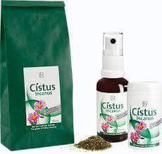 cistus incanus-LR team frankhair-