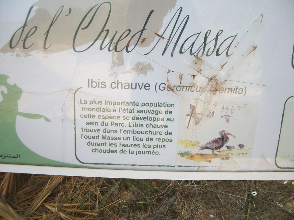 Maroc mars avril 2018