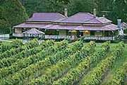 #Grenache Producers Queensland Vineyards Australia