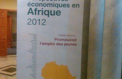 l'emploi des jeunes en Afrique une priorité !!!!