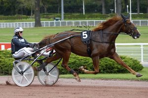 Quinté vendredi à Vincennes : Balfour est chaud ! 