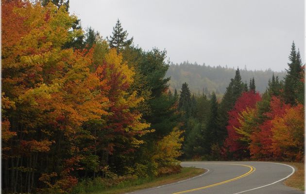 3 octobre 2018 - Route 155 + Parc de la Mauricie