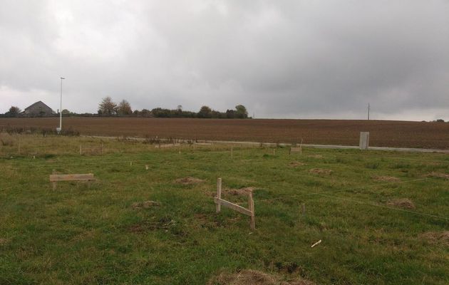 Placement des chaises et Contrôle d'implantation