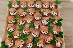 CHOUX PANDA