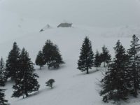Dans la brume on aperçoit les chalets de l'Aulp. Un détour vers Montriond. L'arrivée aux chalets d'alpage.