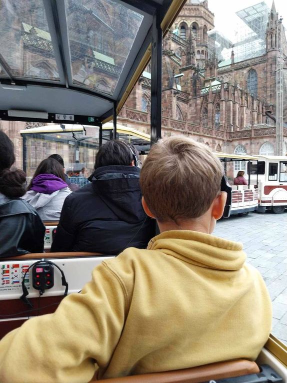 Séjour à Srasbourg: le retour