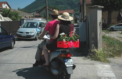 jARTdins c'était hier...