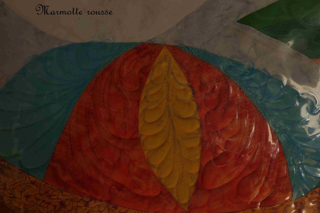 Des plumes... encore des plumes!