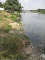 Les berges de l’Yonne et le camping municipal.