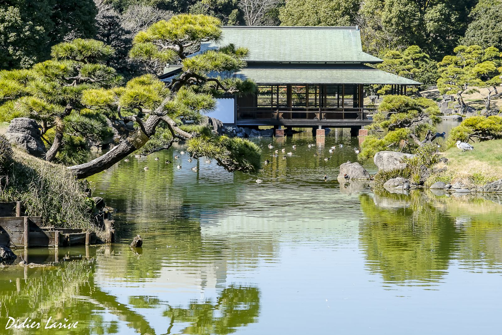 KIOSUMI GARDEN - TOKYO JAPON 