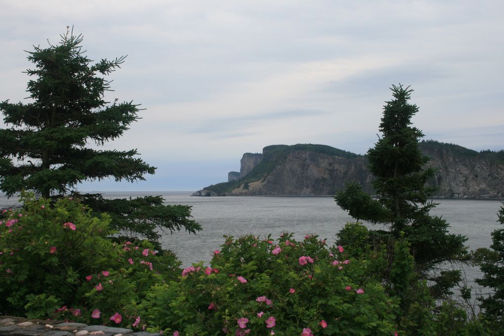 Gaspé et le parc national Forillon