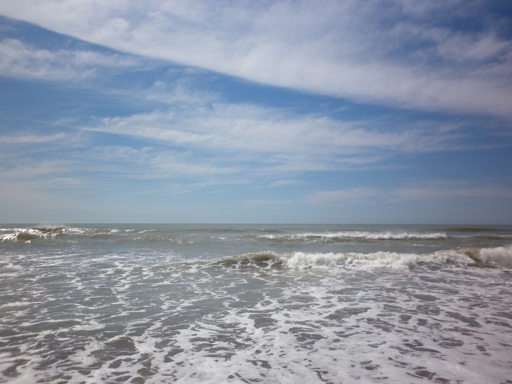 De belles vagues, cet après midi. Jugez en vous même !
