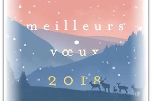 Bonne année 2018 !