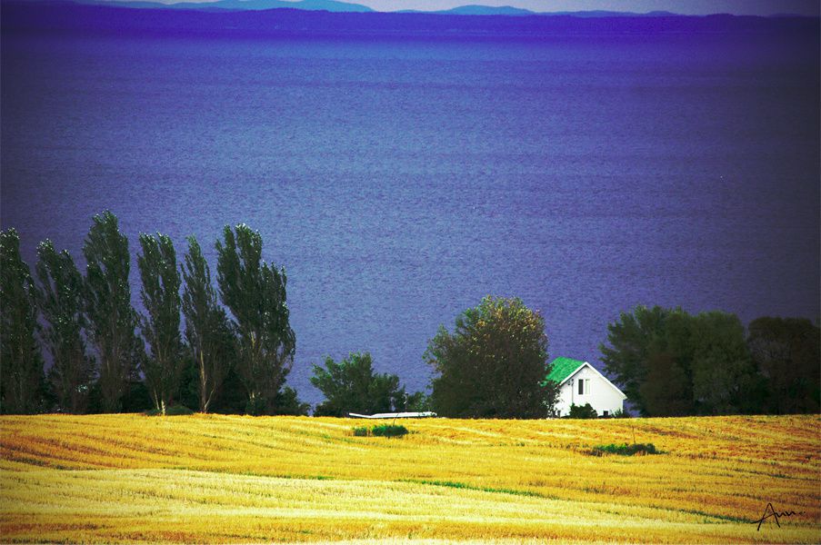 regard canada