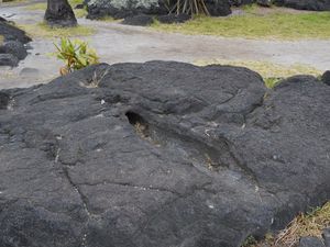 Moulage d'arbre : la lave du Mauna Loa a tout dévoré sur son passage lors d'un coulée il y a plus de 1 000 ans et a abattu l'arbre qui se trouvait à cet endroit. 