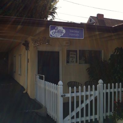 Lucy on the Sky of Ventura!