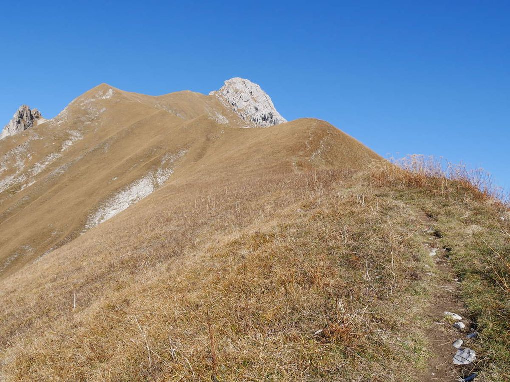 Le Trélod 2181m - (Bauges)