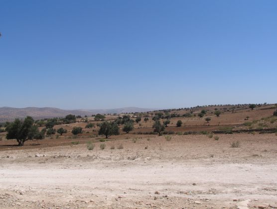 Notre route de Casa à Essaouira en passant par la côte, puis par l'arrière-pays d'Essaouira