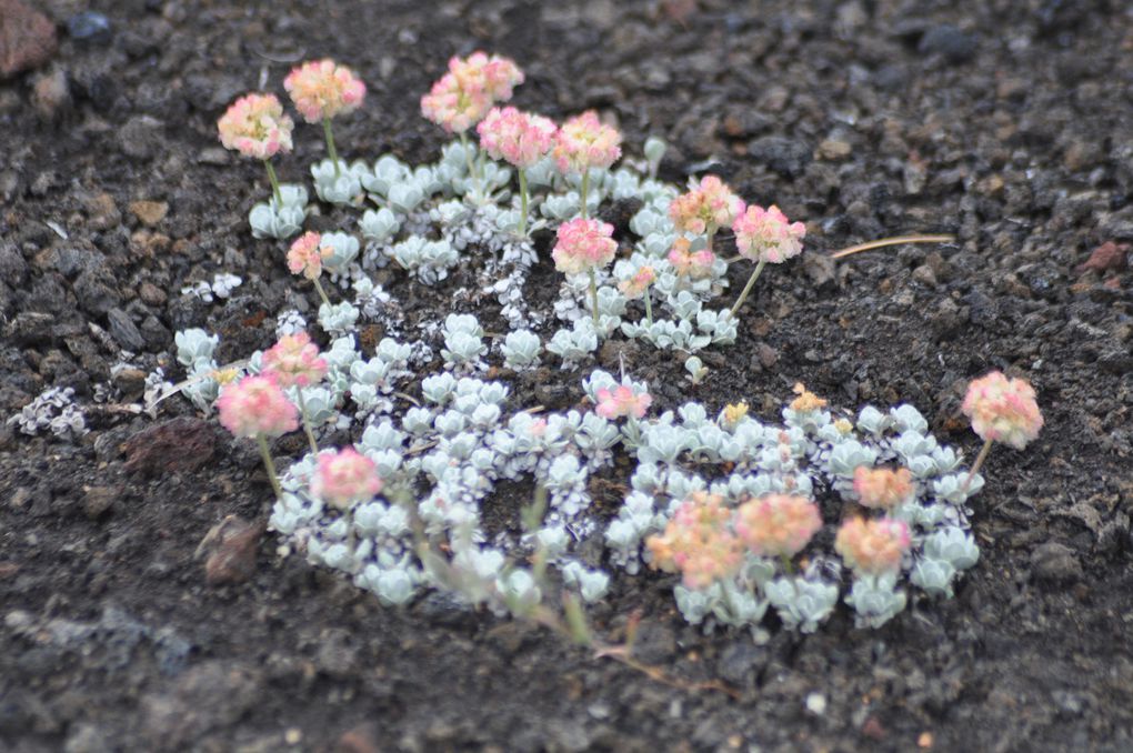 Craters of the moon