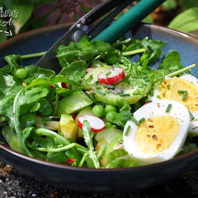 Salade fraîcheur au radis, cornichons, concombre... et oeuf bio