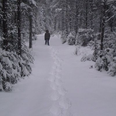 Raquettes sous la neige