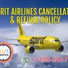 Spirit Airlines 24 Hours Cancellation | Refund Policy