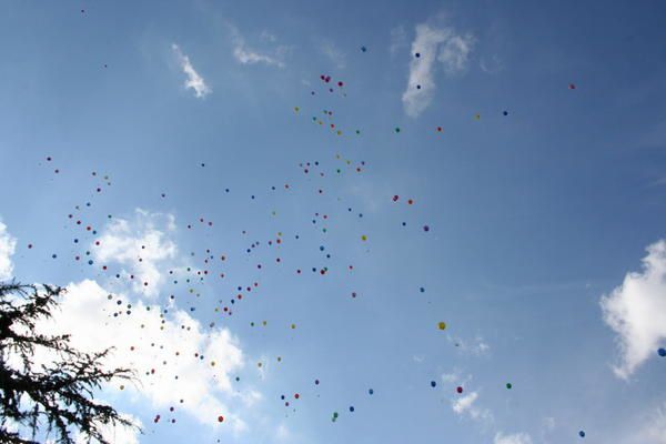 photos des jeux, du lâcher de ballons et du spectacle lors  la fête de l'école du 04 juillet 2008