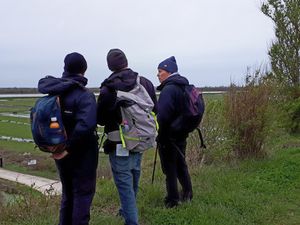 On entend des oiseaux, on les voit de près et de loin...