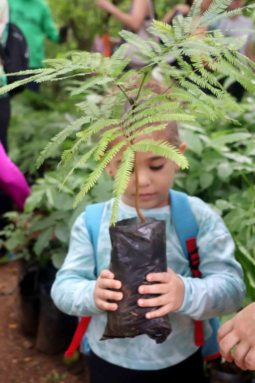 En el Parque Casupo de Valencia se efectuó Mega Jornada de Reforestación