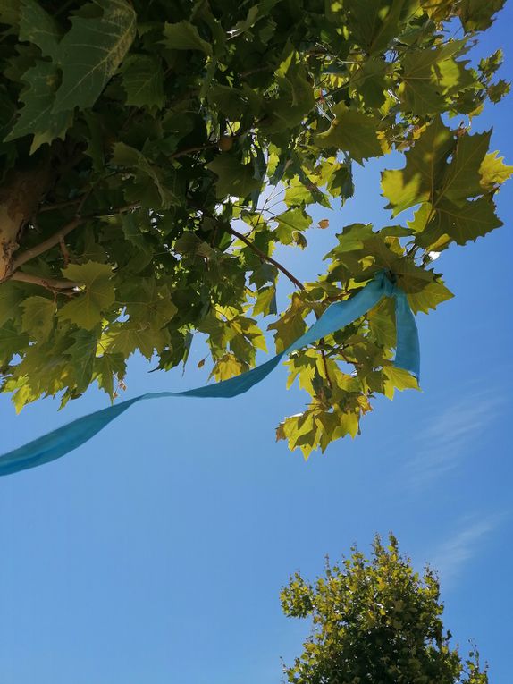 Les voeux bleus: installation d'une quarantaine de voeux sur les arbres du Parc 