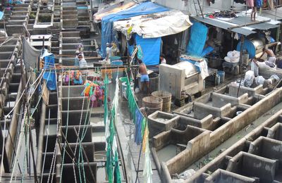 Dhobi Ghat, la laverie géante en plein air