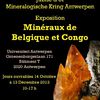 Exposition sur la minéralogie belge et congolaise