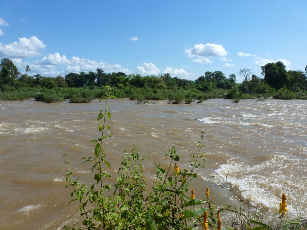 Et voilà les photos du Laos. Comme vous pourrez le voir, les paysages sont variés et nombreux