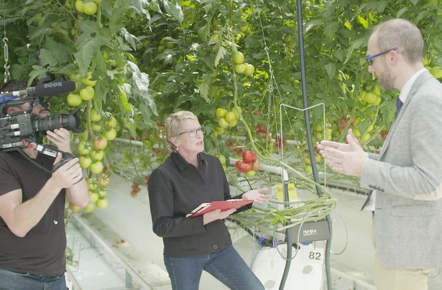 Cash Investigation consacré ce soir au "grand hold-up" des industriels sur nos fruits et légumes (Extrait).