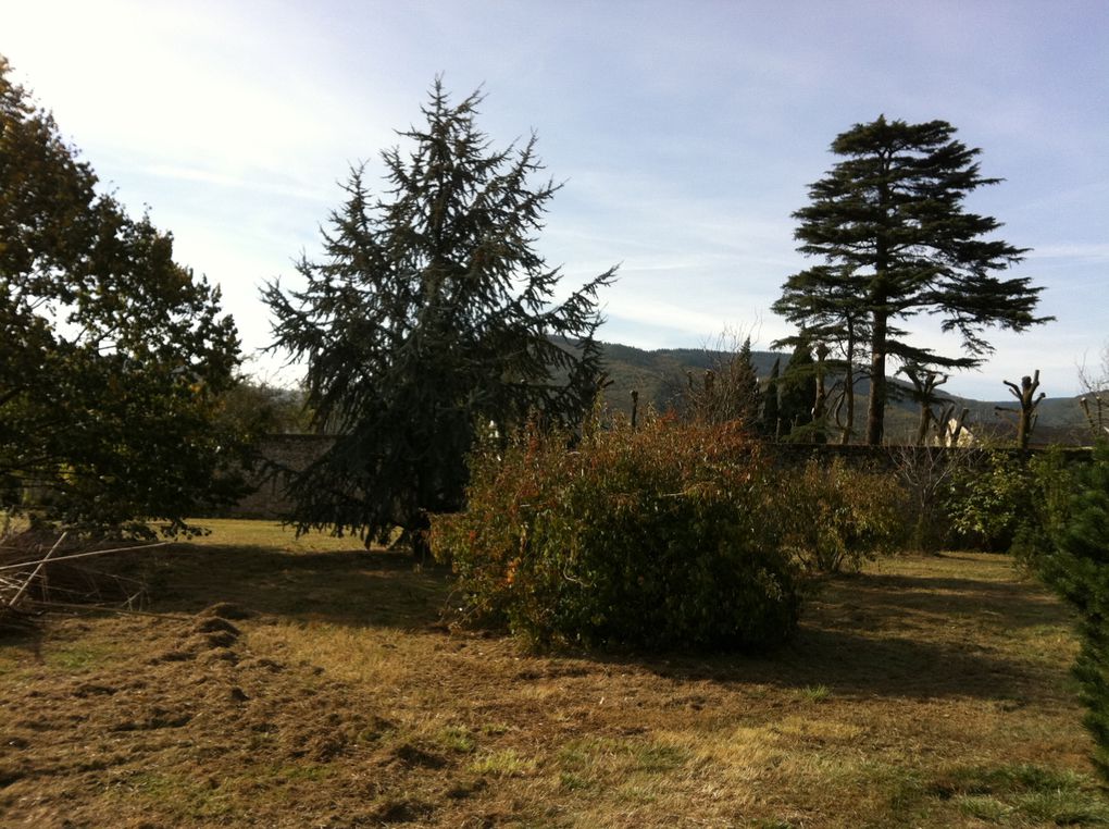 Voici un aperçu de notre terrain.
Le plus dur est qu'il va falloir sacrifier des arbres pour y implanter la maison.
Nous avons plusieurs figuier, 2 tilleuls, 1 cèdre....