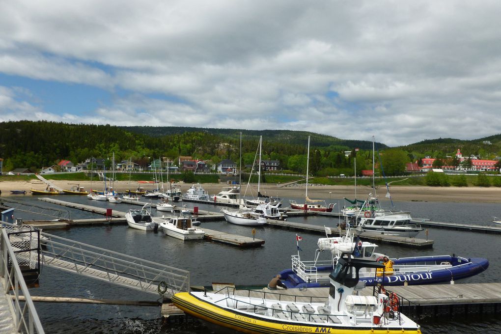 Album - Tadoussac-.sur-la-route-des-baleines--