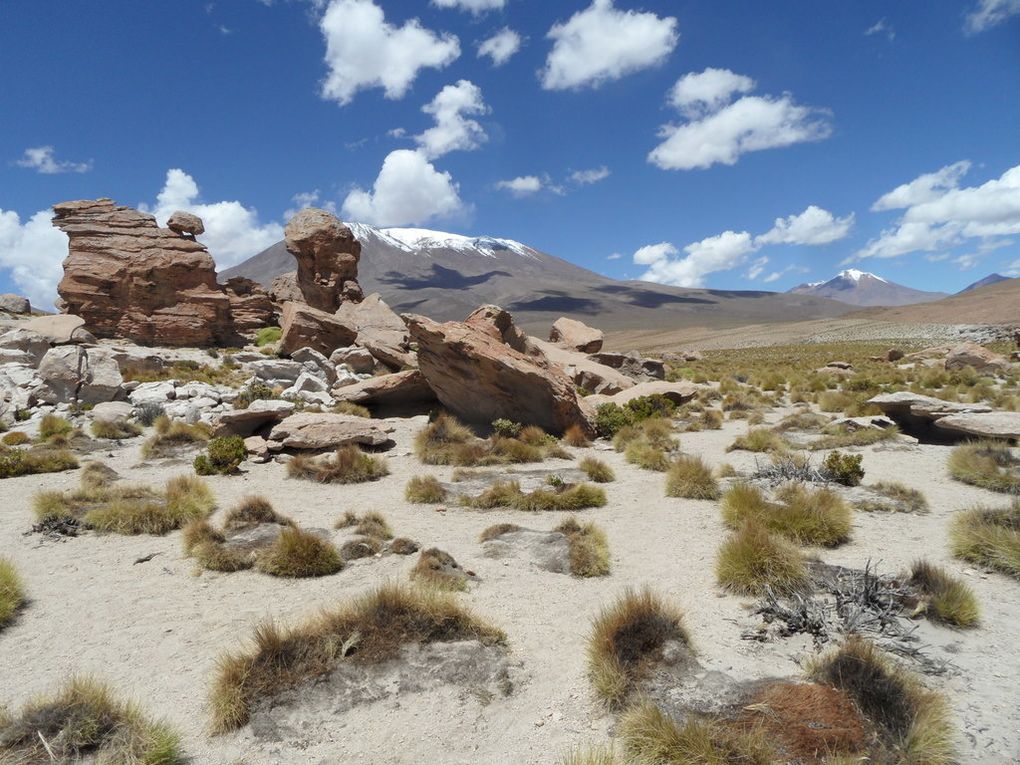 de Salta (Arg) a San Pedro, en passant ppar les salars d'Uyuni en Bolivie : 2 semaines de photos !