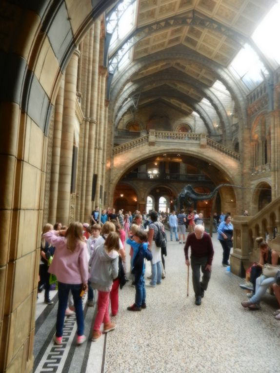 Album - Natural History Museum 2013