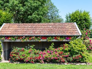 VOSGES-en-PLAINE, rétrospective 2021 en photographies