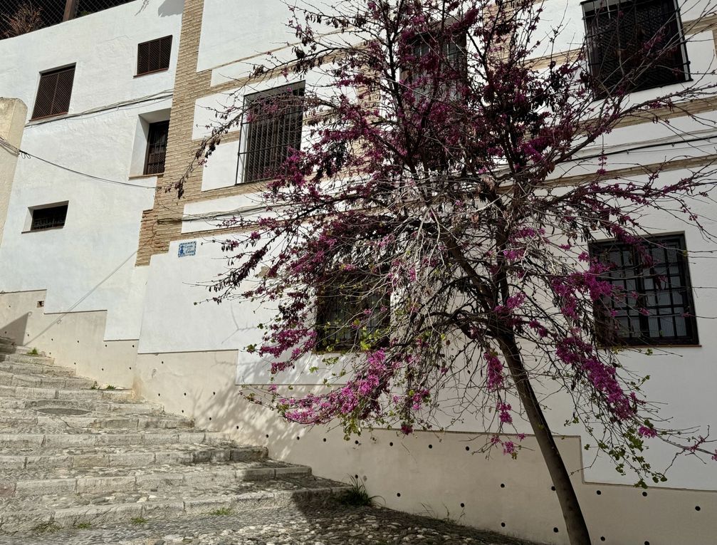 SPM24 Tour in Granada: Albaycin the Old Arab district 