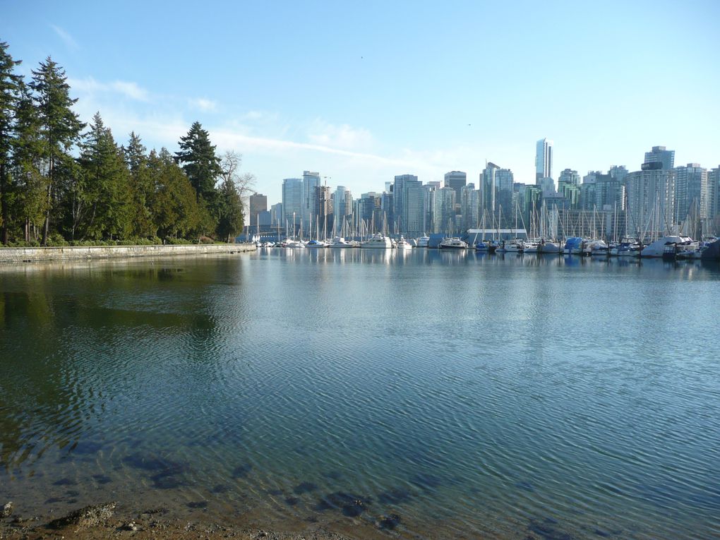 Album - Vancouver Lookout &amp; Stanley Park