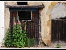St Germain Lembron - la vieille porte et les roses trémières ...