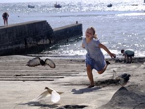 MADÈRE (Portugal 🇵🇹)