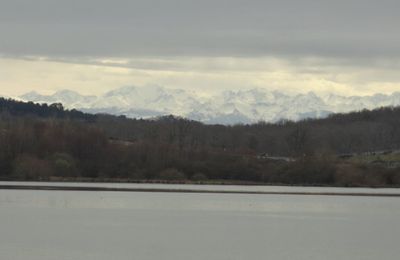 Lac du Brousseau , Aire-sur-L'Adour ( Landes 40 ) AA