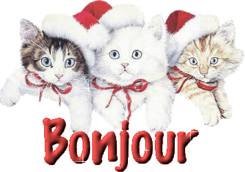 Des chats dans la neige