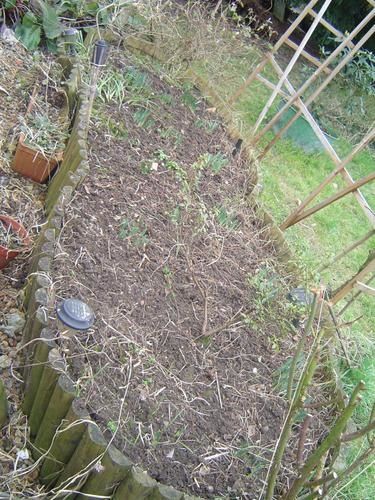 Album - Nature-et-jardin-3