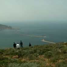 Beaucoup d'Algériens veulent s'expatrier