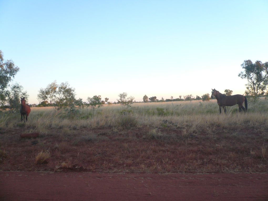 Album - From-Alice-Springs-to-Broome