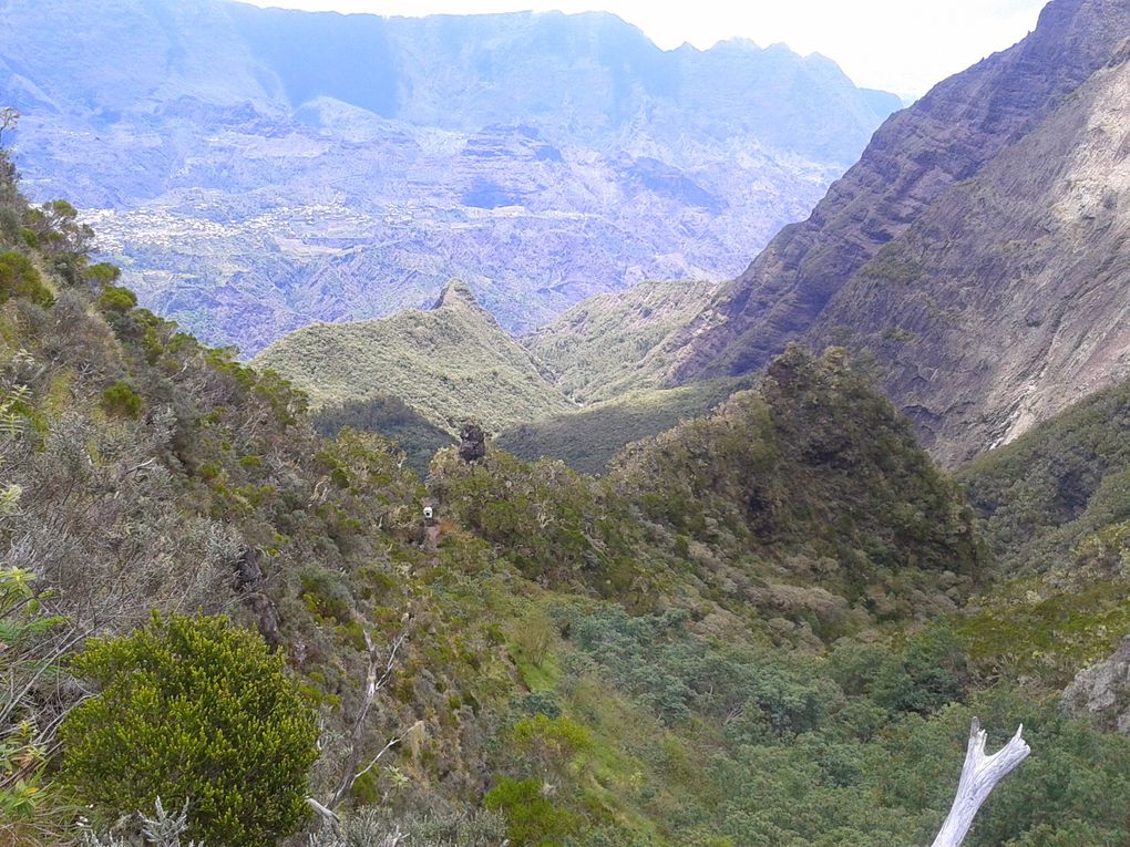 Sortie : Cilaos-col du Taibit